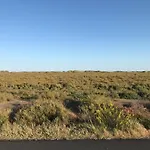 Bora بزييه