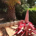 Bora * بزييه
